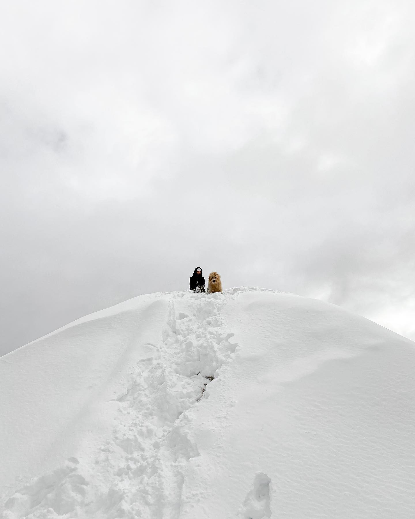 Fisher on snowy mountain summit